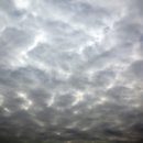 사상침한의원 이미지