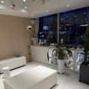 기린숲유치원 | 강아지 슬개골 탈구 수술 후기 비용 깁스 재활 없는 정보 (feat.광기의 보호자) 2편 윤장원외과동물병원