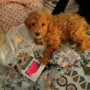 마로동물병원 이미지