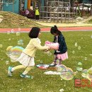 무릉초등학교병설유치원 이미지