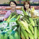 초당유통