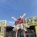 등대횟집 | [제부도 조개구이 맛집] 가성비 횟집 조개구이 새우구이 후기 제부도 등대횟집