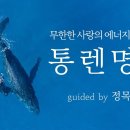 무한한 사랑의 에너지를 나누는 통렌명상 / guided by 정목스님 이미지