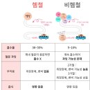 더화인약국 이미지