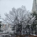 백송환경