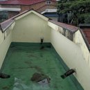 도고면로 이미지