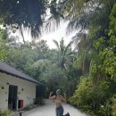 구룡포i할인클럽 | 몰디브 신혼여행 리조트 추천 🏝️ 로빈슨 클럽 누누 후기 (가성비, 수중환경, 꿀팁 총정리)