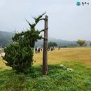 원주굽이길 10코스 천년사지길 이미지