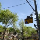 뉴샛별세탁소 | 4월 나의 일상