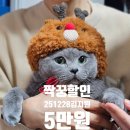 결혼준비3: 본식 스냅 추천 - 마리안웨딩 계약 후기 (견적&amp;할인코드)
