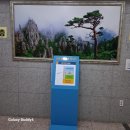 상호변경 | 사업자등록증 상호 변경 세무서 방문 후기(+준비 서류)