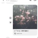 보은읍 이평리 244 이미지