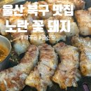 울산 북구 매곡중산동 꽃삼겹살이 맛있었던 &lt;노란 꽃 돼지&gt;