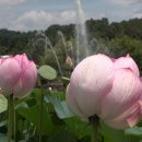 용성3길 이미지