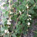 낙동강변9 이미지