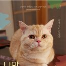 나만 없어 고양이 이미지