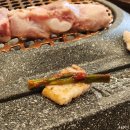 보성녹돈참숯불구이 네이버블로그