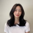 모엘헤어 이미지