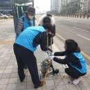 영종동, 영종1동 주민자치회에서 방역작업중 이미지