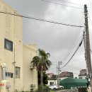 버스정류장 06-206 | 제주도 동쪽 구좌읍 오션뷰감성숙소 공존스테이(근처맛집,카페추천)