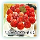 광교갤러리아맛집 딸기케이크 맛있는 디아즈