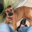 기다리다 이미지