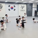 국가대표 한빛태권도 이미지