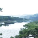 정천휴게소 | 금강)투어....(송호리 솔숲, 원정리 느티나무, 강선대, 봉황대, 금강휴게소, 궁촌재, 장태산스카이워크)