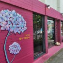 고산별이아름답다 이미지