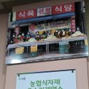 토란식당 | 목포 선희식육식당~현지인맛집 쯔양이 극찬한 김치찌개 솔직후기