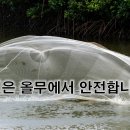 1월 26일(금) 그들의 올무에 걸리지 말라! 이미지