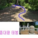 중종대왕태봉 이미지