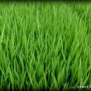 단이농장 이미지