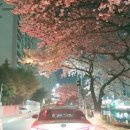 제이제이오토그룹