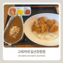메가엠지씨커피일산웨스턴돔점 | 웨스턴돔 고레카레 일산장항점 카레 맛집 내돈내산 후기