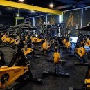 DOB휘트니스 이미지