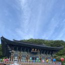 늘봄파파