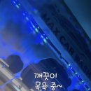 더맥스카워시 이미지