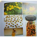 꽃차만들기 이미지