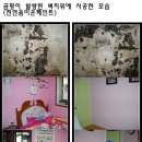 베란다곰팡이, 벽지곰팡이 제거 천연음이온페인트 숲속향기 이미지