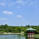 국립중앙박물관 | [국립중앙박물관 후기] 반가사유상부터 왕의 서고까지, 무더운 여름 실내 나들이 추천
