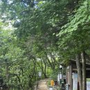 청송길R | 경주 토함산 석굴암 최단 코스 (초보자 추천)