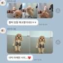 멍프리스쿨 이미지