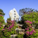 백양산 애진봉 이미지