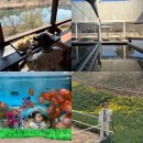 섬진강마실캠핑장 | 광주 근교 아이랑 구례 당일여행 코스