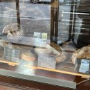 브레드샵(BREAD#) 이미지