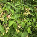 DMZ 펜션 이미지