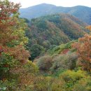 왕골목장 이미지