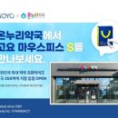 디메디코리아 이미지