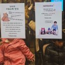 내포드림월드(주) | 잠실 로사나호텔 롯데월드 근처 숙소 아이 2명과 이용한 솔직후기